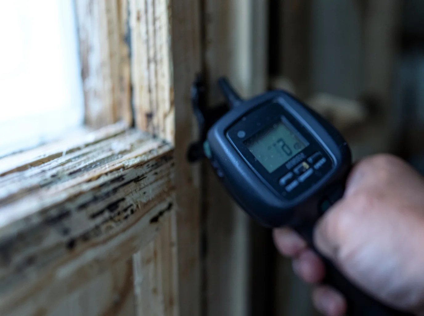 Moisture Inspection And Documentation in Parrottsville, TN